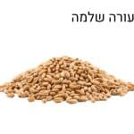שעורה שלמה שקית 25 ק"ג