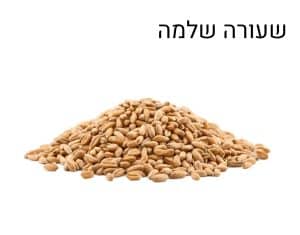 שעורה שלמה שקית 25 ק"ג