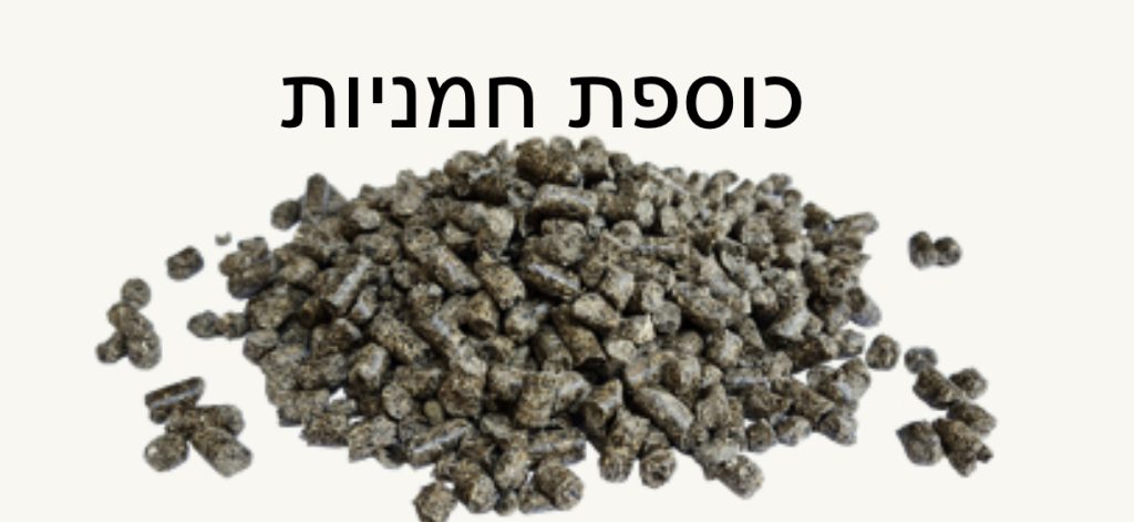 כוספת חמניות