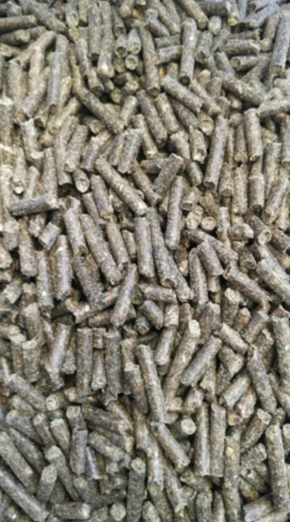 מזון לחיות משק