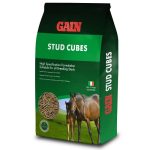 GAIN Stud Cubes
