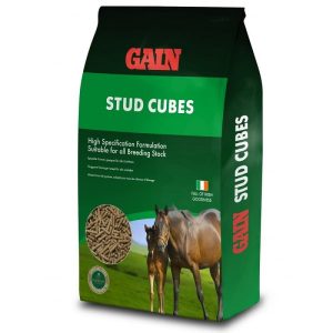 GAIN Stud Cubes