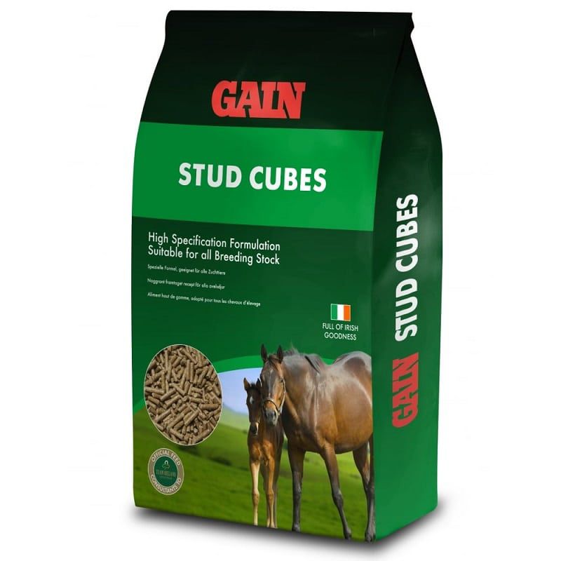 GAIN Stud Cubes