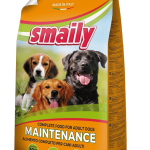 Smaily Maintenance Adult